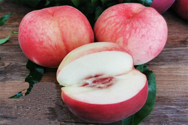 1637745004909713.jpg 263.jpg