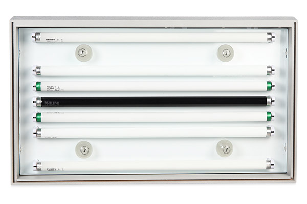 1638429146145577.jpg 64.jpg