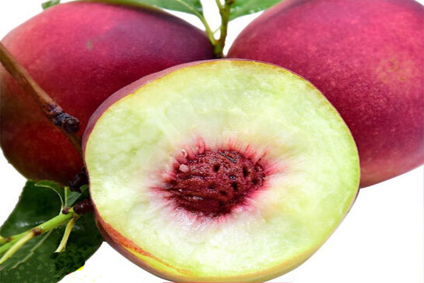 1641372826196120.jpg 764.jpg