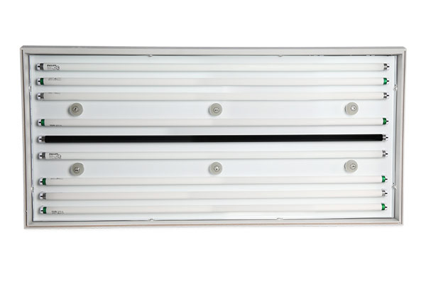 白熾燈和日光燈有什么區(qū)別？白熾燈有哪些優(yōu)缺點？