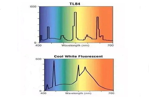 TL84光源和CWF光源光譜功率分布01