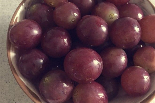 葡萄果皮顏色分類用標準光源箱