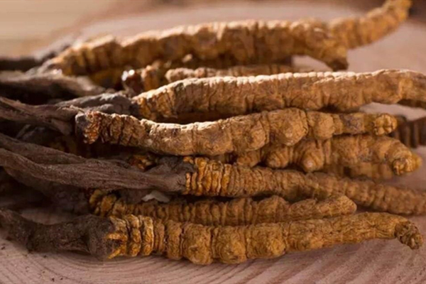 標(biāo)準(zhǔn)光源箱測(cè)試蟲(chóng)草顏色